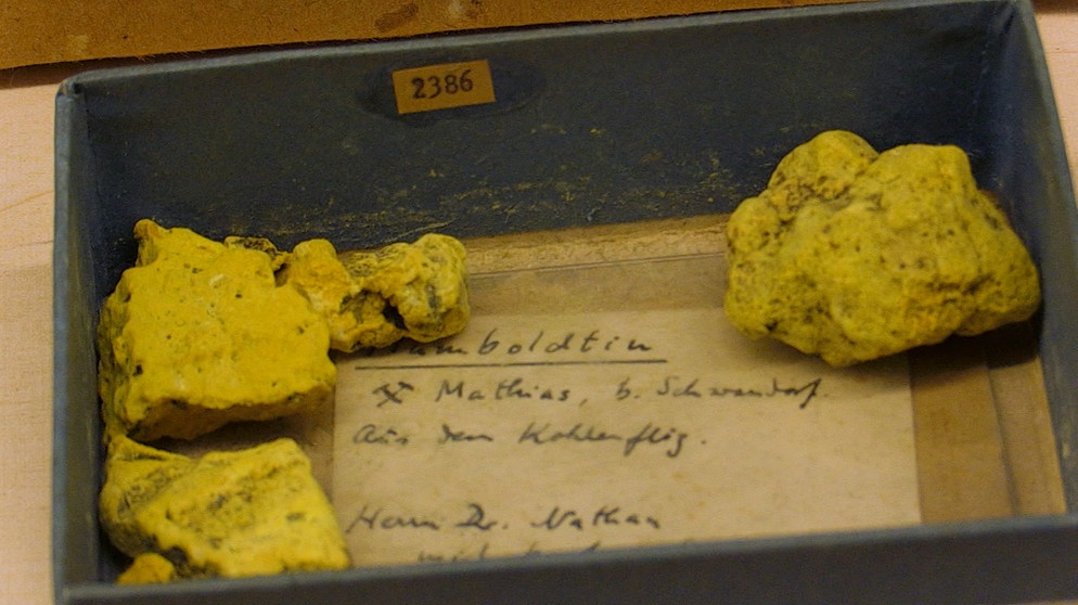 Humboldtin (gelb) mit Halotrichit, Fundort Mathiaszeche, Bb 3,5mm, Foto Thomas Prögler (Quelle LfU Bayern)